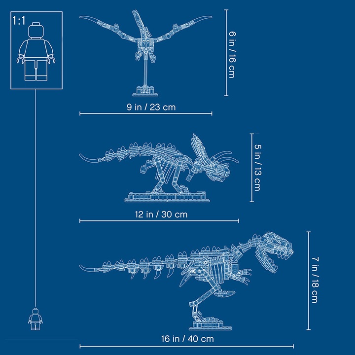Produktbild LEGO Dinosaurier-Fossilien (21320, LEGO Ideas)
