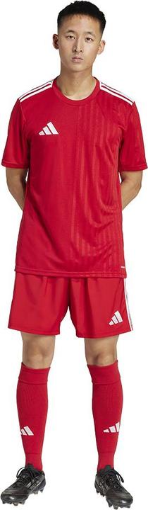 Produktbild adidas Tastigo25 Short (L)