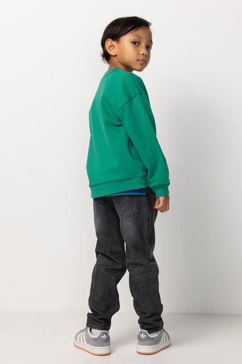 Image du produit Noppies Pullover Ridgely (110)