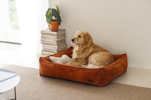 Actual product image Designed by Lotte Ribbed (Dog)