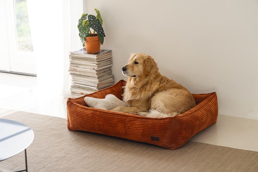 Productafbeelding Designed by Lotte Geribbeld (Hond)