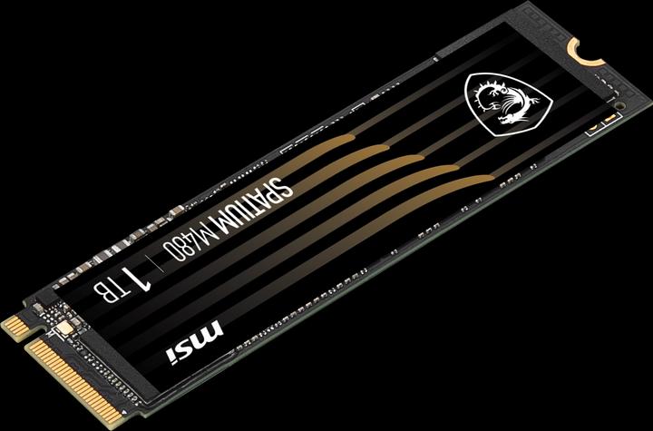 Immagine prodotto MSI Spatium M480 (1000 GB, M.2 2280)