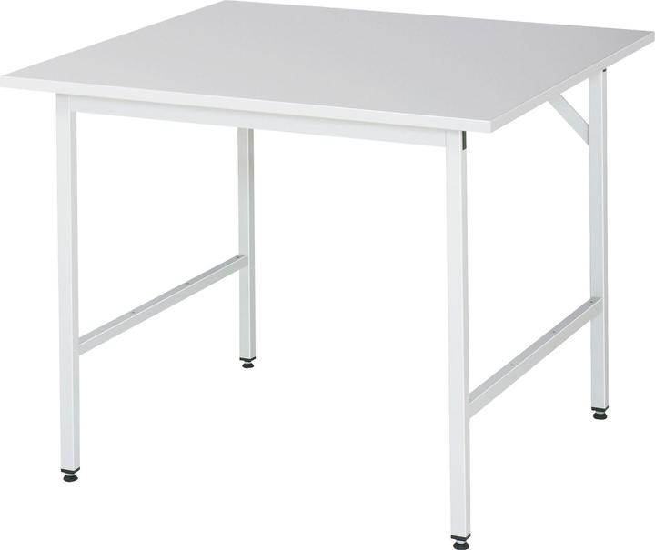 Actual product image RAU ESD work table (100 cm, 100 cm)