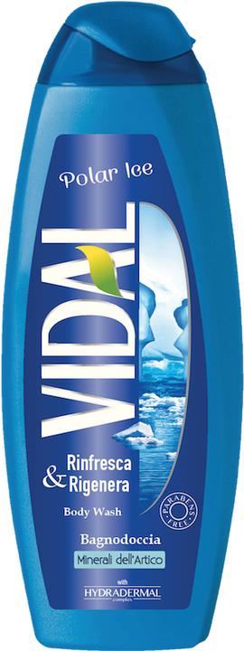 Produktbild Vidal Polar Ice (500 ml)