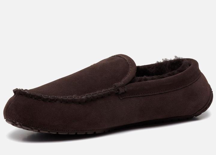 Produktbild Warmbat Earlwood (44)