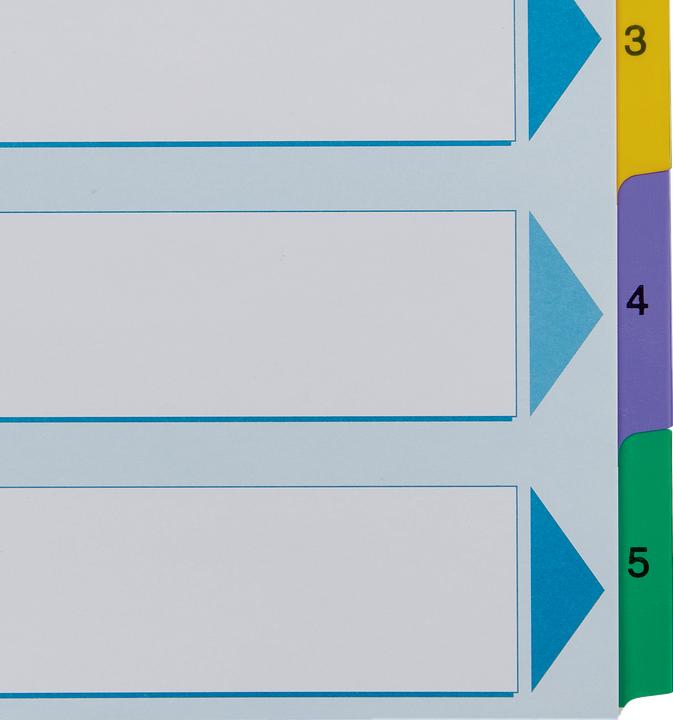 Image du produit Esselte Répertoire en carton Mylar, différents modèles, à l'unité