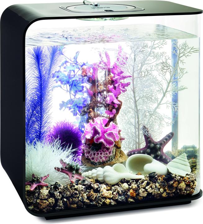 Actual product image Oase biOrb Aquarium 30 Decor Set