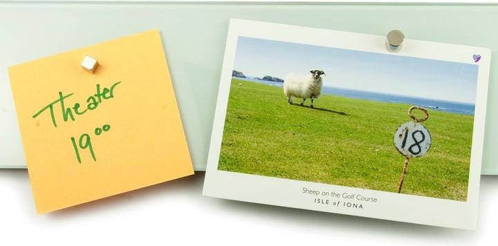 Produktbild Supermagnete Scheibenmagnet (5x)