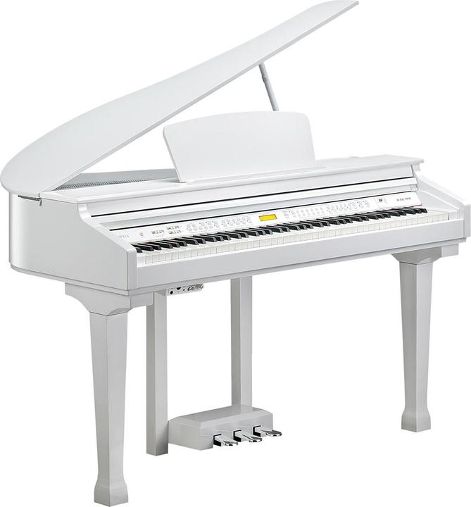 Actual product image Kurzweil KGA100