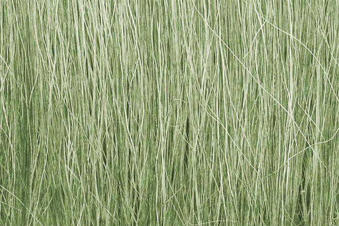 Woodland Scenics Herbe haute, vert clair