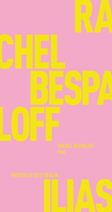 Produktbild Die Ilias (Deutsch, Rachel Bespaloff, Stefanie Golisch, 2018)