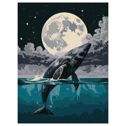 Ideyka Malen nach Zahlen - Sprung in den Himmel