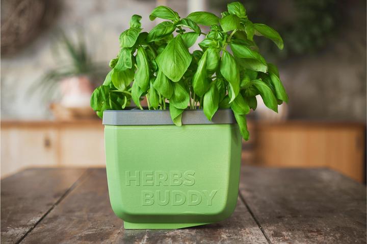 Actual product image Gusta Garden HERBS BUDDY Kräutertopf 3er Set Grün (49 x 15 x 14.50 cm)