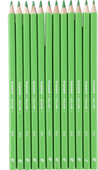 Actual product image Bruynzeel Colored pencil Colorexpress (12 x)