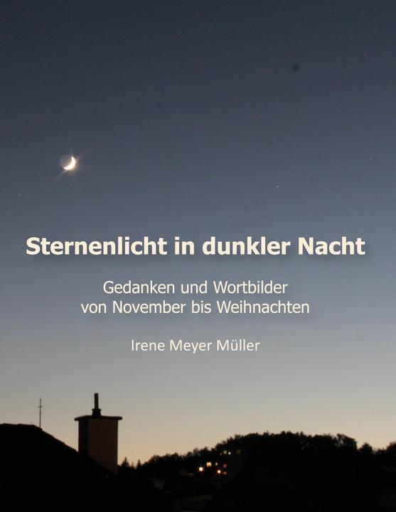 Produktbild Sternenlicht in dunkler Nacht (Deutsch, Irene Meyer Müller, 2022)