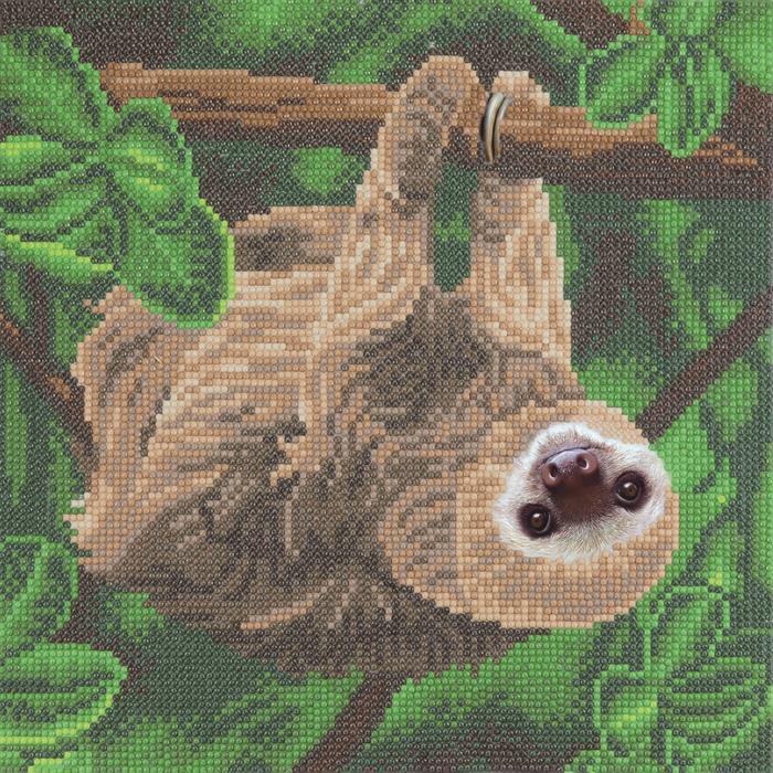 Immagine prodotto Craft Buddy Bradipo a due dita, 30x30cm Crystal Art Kit