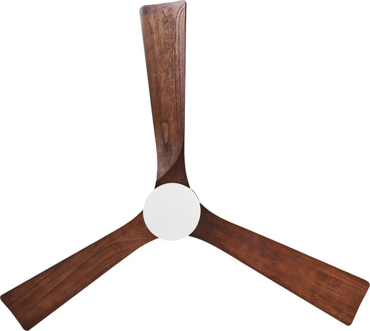 Produktbild Beliani Aruwimi (45 dB)