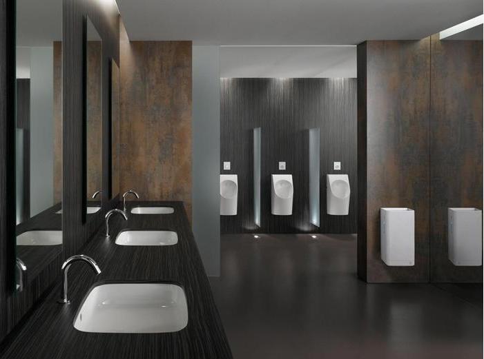 Image du produit TOTO Sèche-mains PUBLIC version apparente blanc