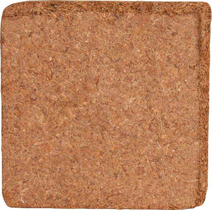 Actual product image Trixie Coconut fiber humus