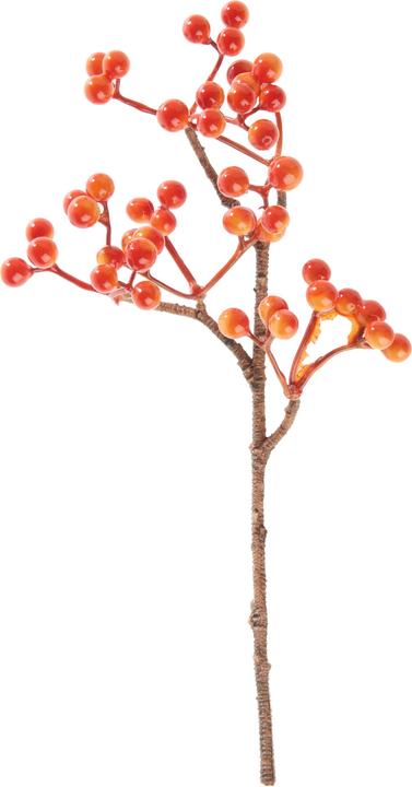 Produktbild DPI Beeren Pick, Orange