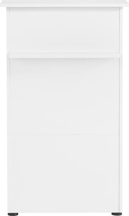Actual product image Schildmeyer Reception desk (66 x 44 x 110.5 cm)