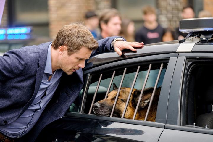 Actual product image Hudson and Rex - The complete 5th season (DVD, 2022, German)