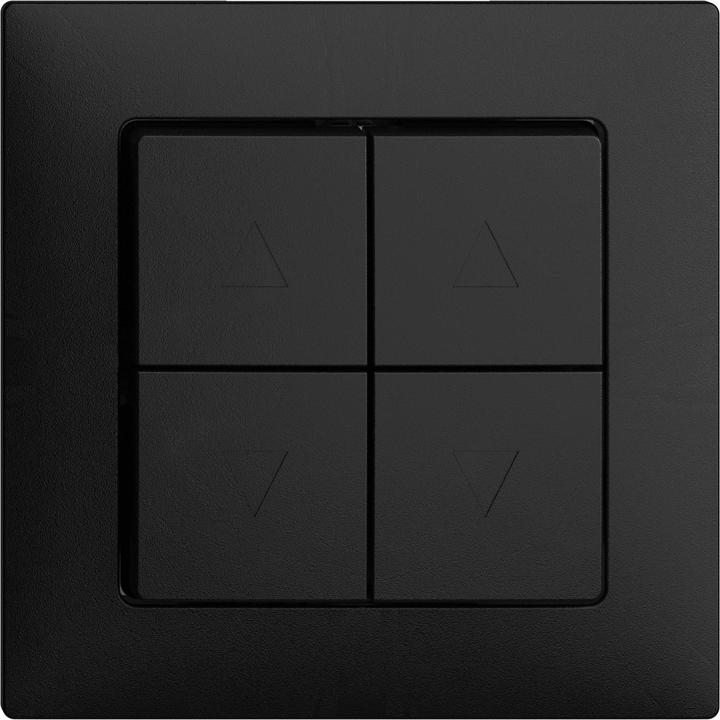 Noir