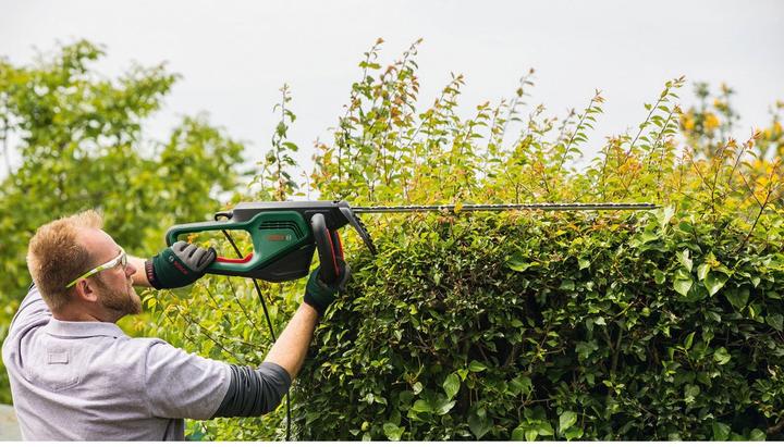 Actual product image Bosch Home & Garden AdvancedHedgeCut 65 (Electrical connection)