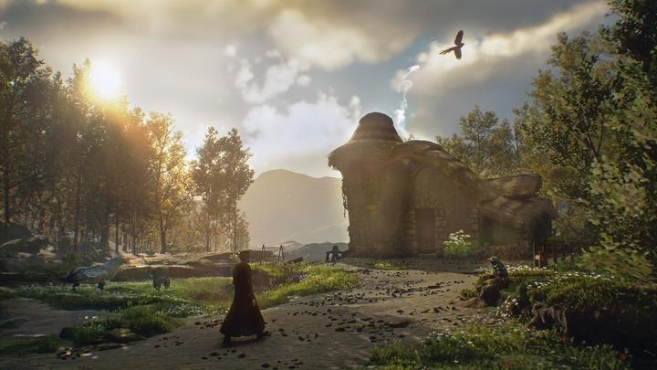 Produktbild WB Hogwarts Legacy (Xbox Series X, DE, FR)