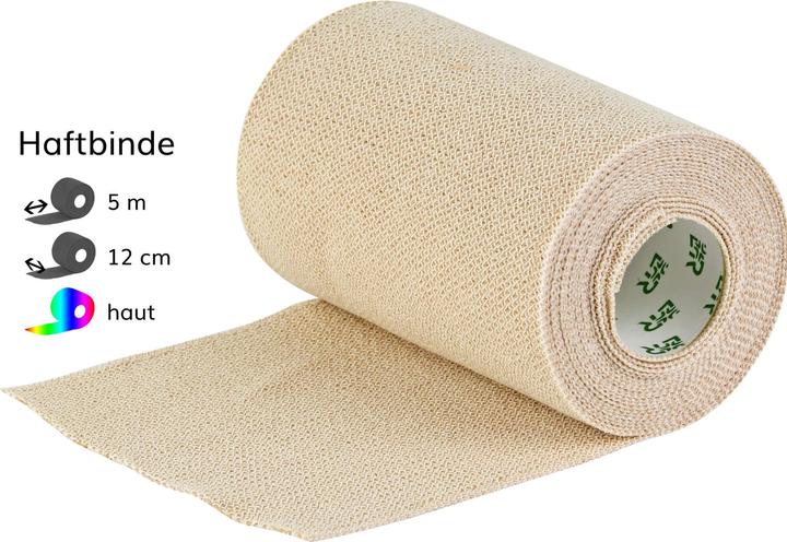 Produktbild Lohmann & Rauscher haft kohäsive Kurzzugbinde 12cmx5m