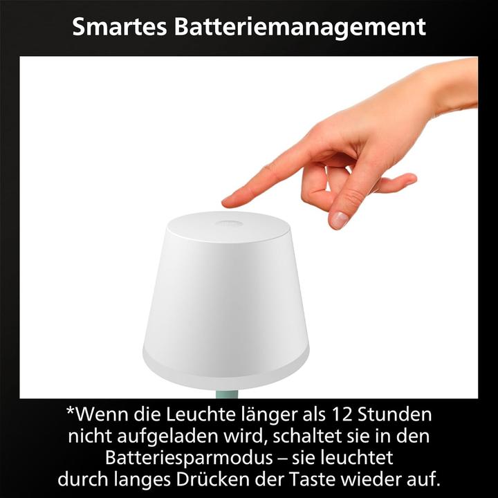 Actual product image Philips Hue Go (370 lm)