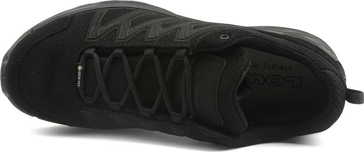 Image du produit Lowa Innox Pro GTX LO TF (45)