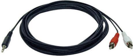 Eaton 3.5mm Mini Stereo to RCA Audio Y Splitter Adapter Cable M/2xM 12ft. 3.7m (3.70 m)