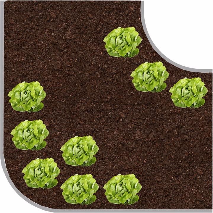 Produktbild Vitavia Terra Curve Erweiterung