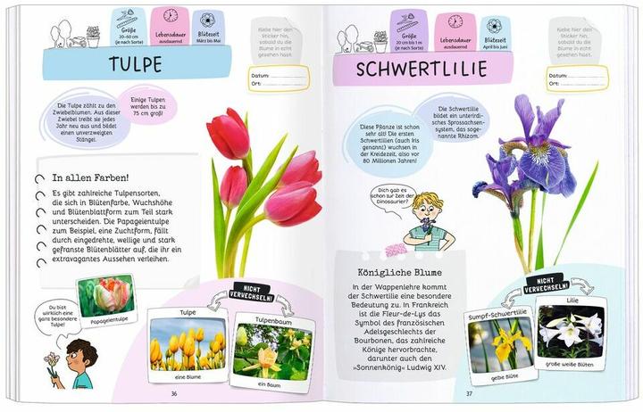 Immagine prodotto Expedition Natur Rätseln, Stickern, Bestimmen - Blumen (Tedesco, Mary Gribouille, Sandra Lebrun, 2024)