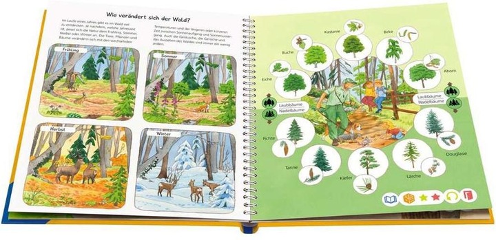 Actual product image tiptoi Wieso? Weshalb? Warum? Unser Wald (German, Kerstin M. Guilt, Patricia Mennen, 2023)