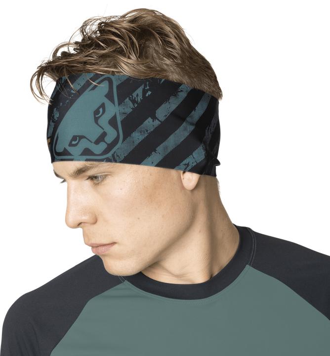 Actual product image Dynafit Graphic Performance Headband Stirnband