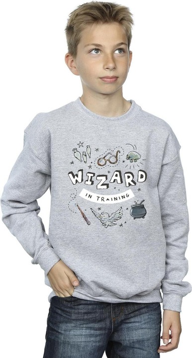 Actual product image Boys Wizard In Training Sweatshirt (152, 158)