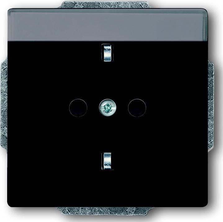 Actual product image Busch-Jaeger SCHUKO® socket outlet insert with 2CKA002011A3802