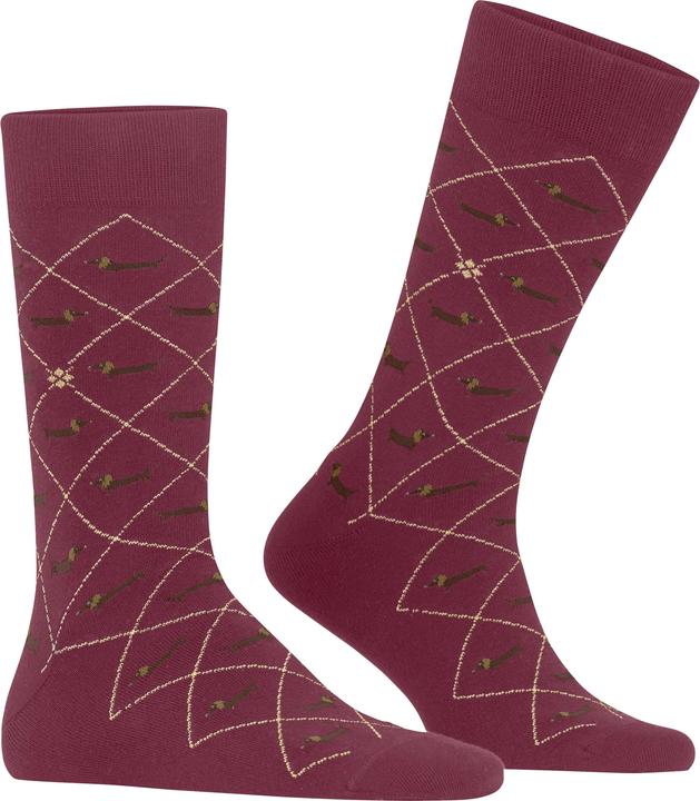Produktbild Burlington Dachshund (Einzelpack, 40 - 46)