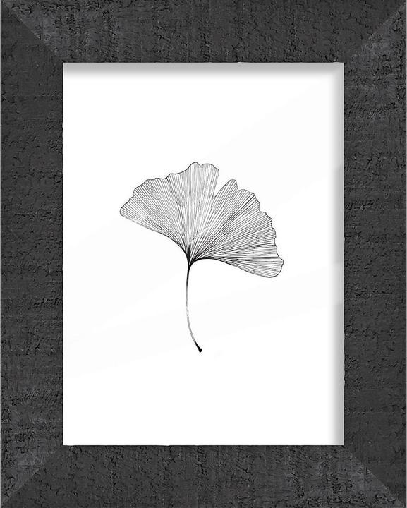 Produktbild Lipo Bern