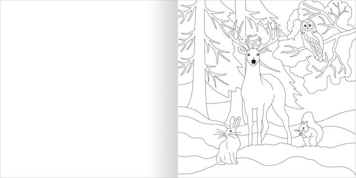 Produktbild Aquarell-Malblock - Im Wald