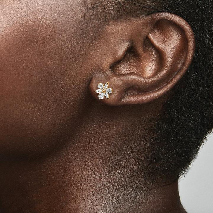 Actual product image Pandora Sparkling Herbarium Cluster Earrings (Gold plated, Metal)