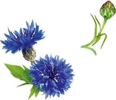 Image du produit Guhl Spray coiffant Fohn Active