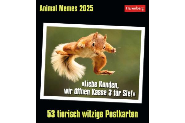Produktbild Harenberg Animal Memes Postkartenkalender 2025 - 53 tierisch witzige Postkarten (16 x 17.5 cm, Kein Einband, Englisch, Deutsch)