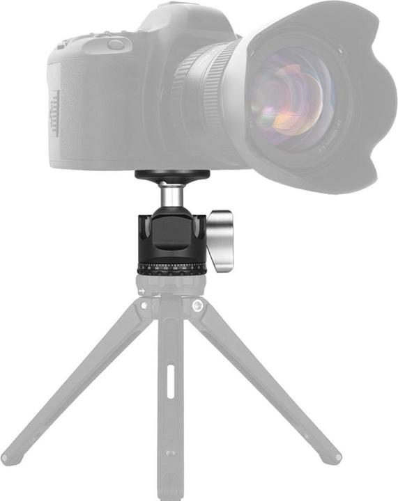 Actual product image Caruba D 25 Camera Balhoofd (Spherical head)