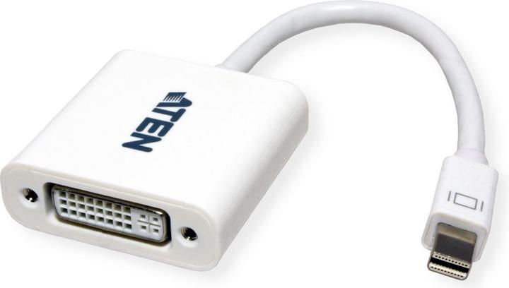Actual product image Aten VC960 DisplayPort Adapter (DVI, 20 cm)
