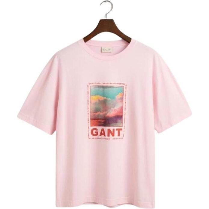 GANT, Herren, Shirt, t-shirt washed graphic, Pink, (XL)