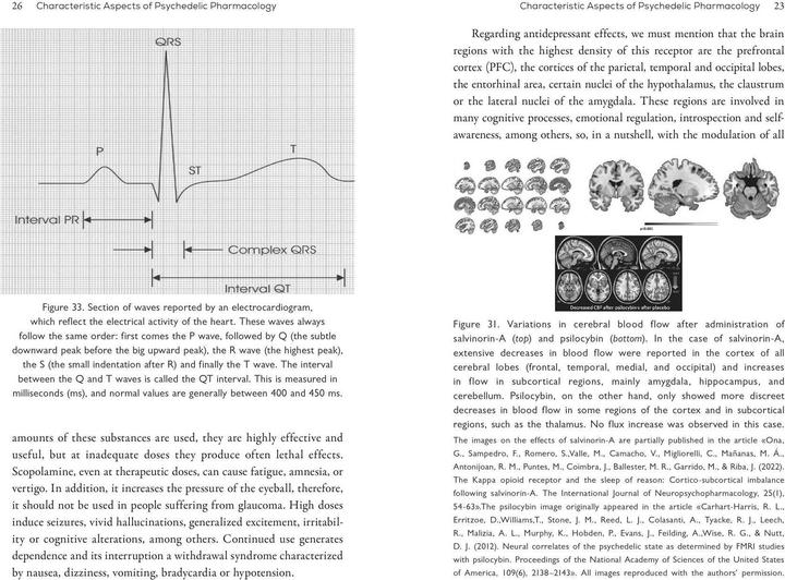 Actual product image The Neuroscience of Psychedelics (English, Genís Ona, José Carlos Bouso, 2024)