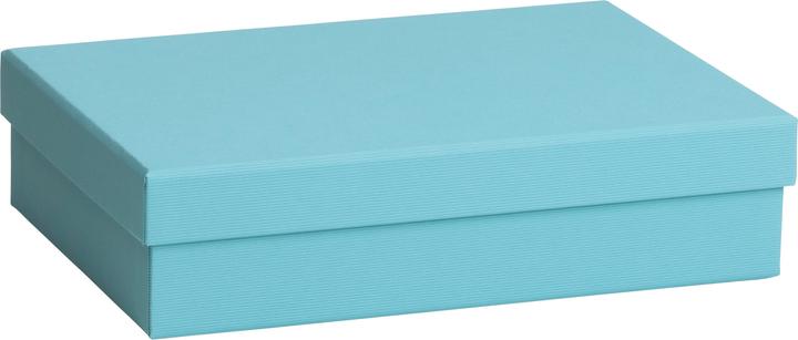 Immagine prodotto Stewo Scatola regalo monocolore (Scatola da regalo, 1 x)